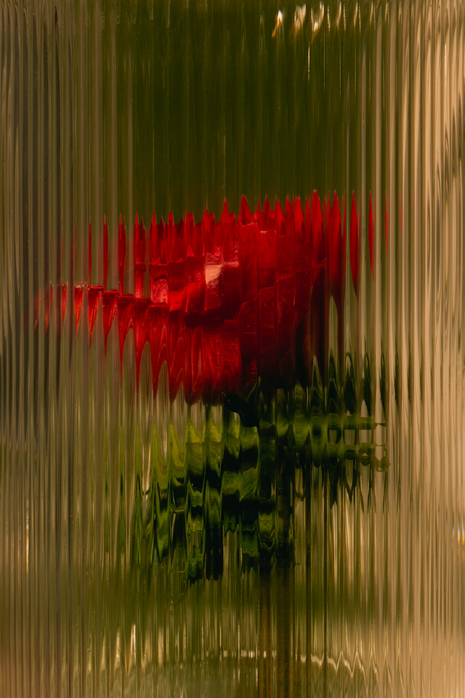 Red flower behind glass