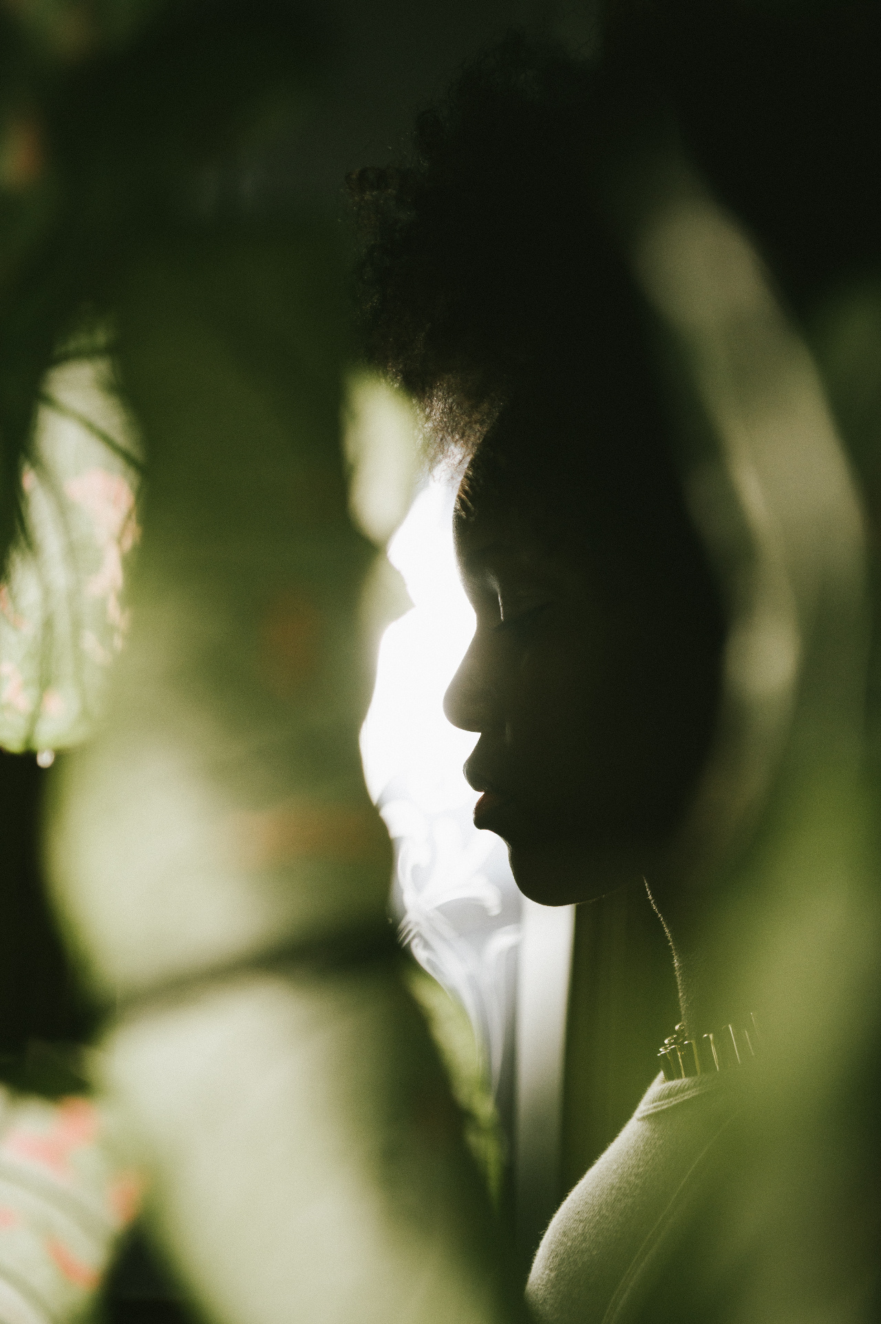Woman with afro silhouette